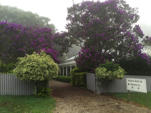 REED HOUSE At Maleny-The White Pavilion - Dentists Australia 0