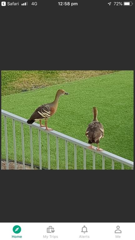 Resort Living - Dentists Australia 3