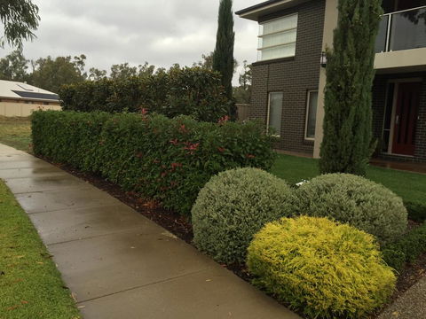 River View Heaven - Dentist Find 3