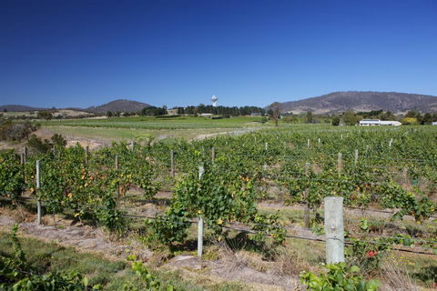 Riversdale Estate Cottages - Dentist Find 1