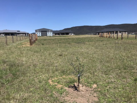 Rosehill Vines - Dentist Find 3