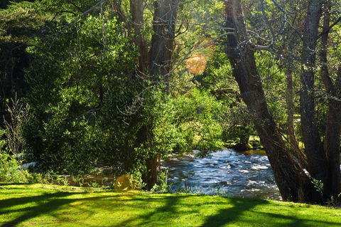 Russell Falls Holiday Cottages - Dentists Australia 2