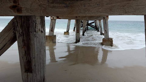 Seagrass 3 - Dentist Search 1