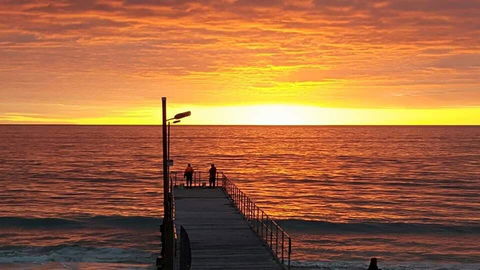 Seagrass 3 - Dentist Search 3