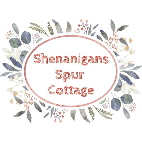Shenanigans Spur Cottage - Dentist Search 3