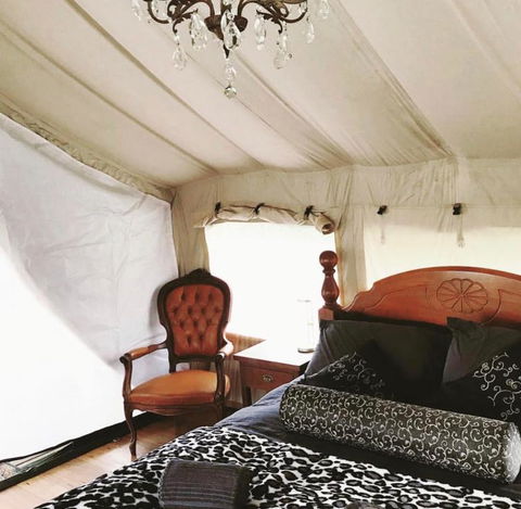 Silk Pavilions Glamping - Dentist Search 1