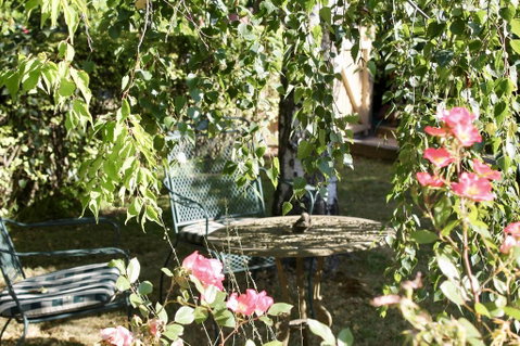 Silver Birch B&B - Dentist Search 3