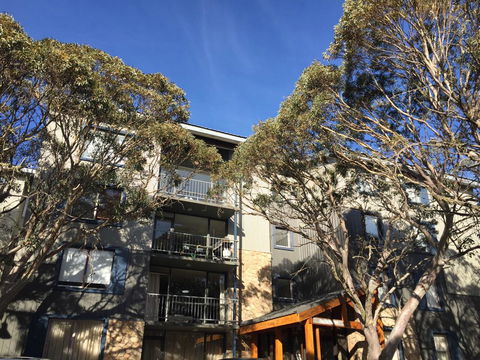 Snowflake 12 - Dentist Find 0