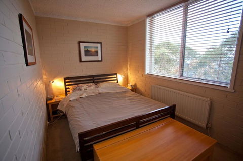 Snowflake 12 - Dentist Find 3