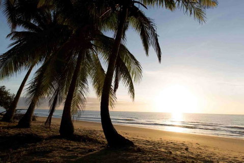 Spice At Oak Award Winning Luxury Absolute Oceanfront House Oak Beach Near Port Douglas - Dentist Find 1