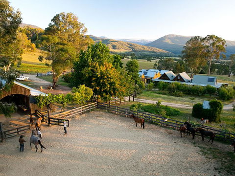 Spring Spur - Dentists Australia 3