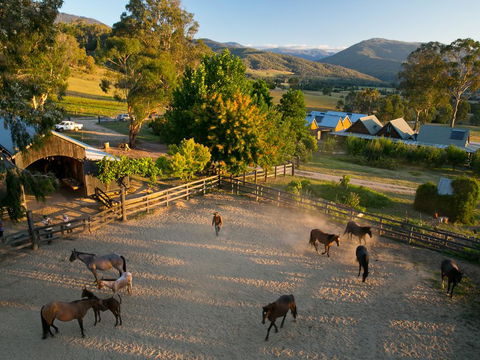 Spring Spur - Dentists Australia 0