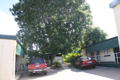 Star Inn Accommodation - Dentists Australia 3