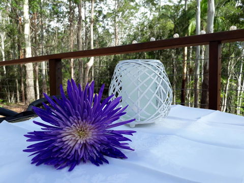 Stay @ The Cube - Dentist Search 1