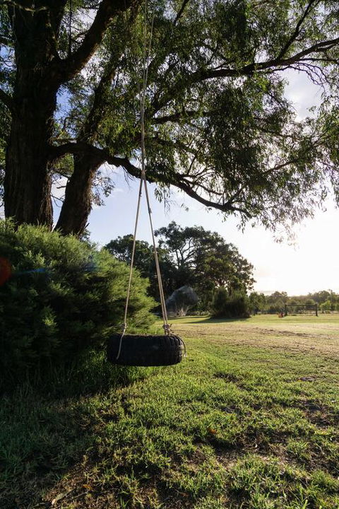 Studio 165 Hidden Gem On 50 Acres With Bay Views - Dentist Find 3