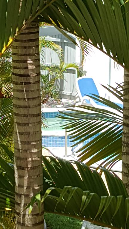 Studio Apartment Mooloolaba Beach Holiday Management