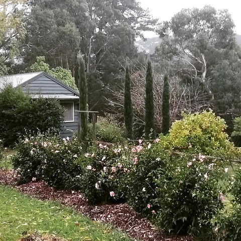 Summerhill Farm B&B - Dentist Find 3