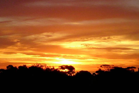 Sunsets, Sea, Wine - Dentist Search 3