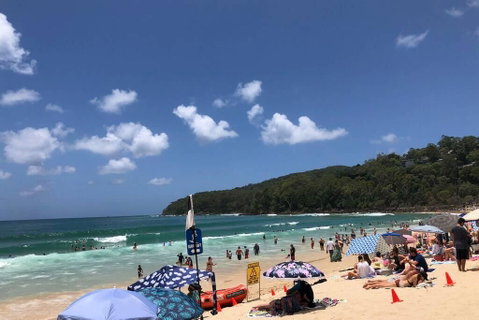 Sunshine Coast Cottage - Dentist Search 3