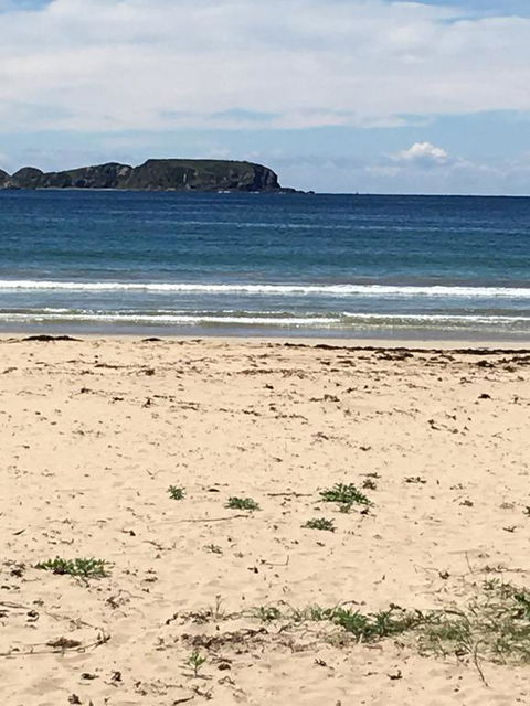 Surf Beach Holiday - Dentist Search 0