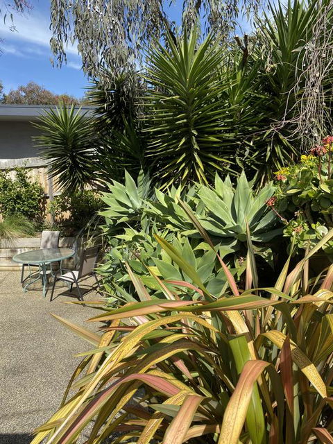 Surf Coast Haven - Dentist Search 3