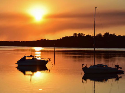 Surfs Up - Dentist Find 3