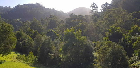 Tall Trees Retreat - Dentist Search 1