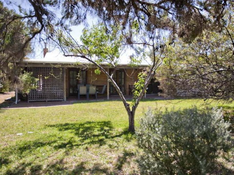 Tea Tree - Dentist Search 1