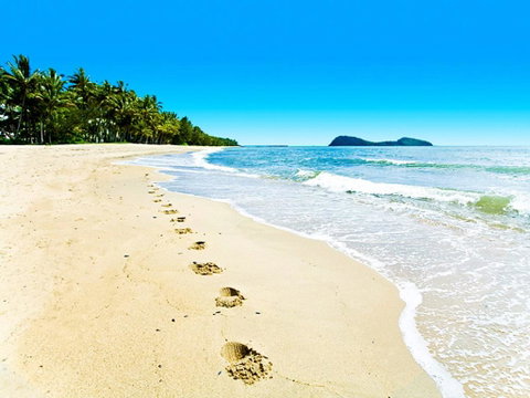 Temple 121 Modern Spacious Palm Cove 2 Brm 2 Bth Resort Apartment With Courtyard - Dentist Find 0