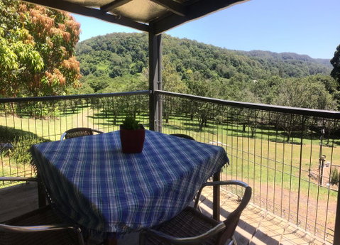 Terania Creek Farmstay - Dentist Find 0