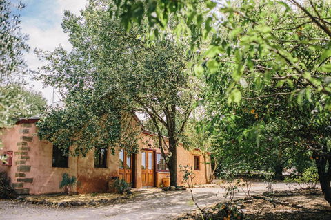Terroir Auburn - Dentist Find 0