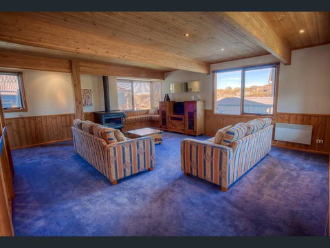 Tetleys - Dentist Find 2