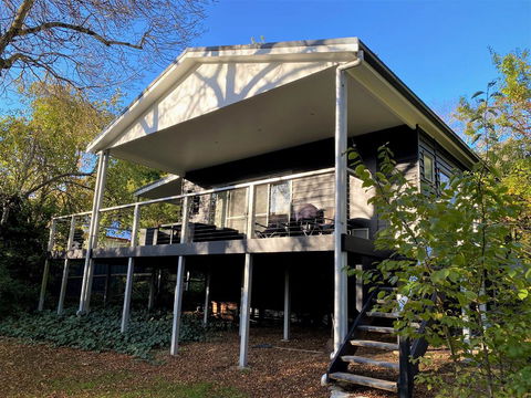 The Apple Tree - Dentist Search 1