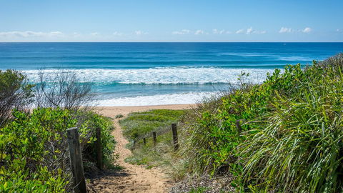 The Art House - Dentist Search 2