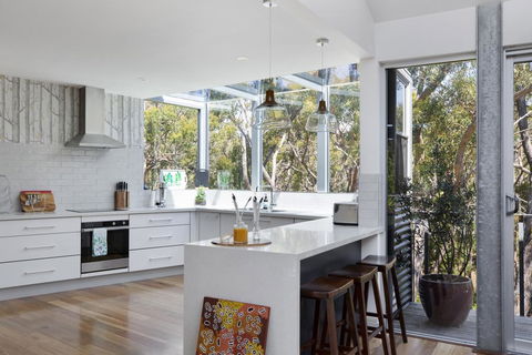 The Bird House - Dentist Find 1