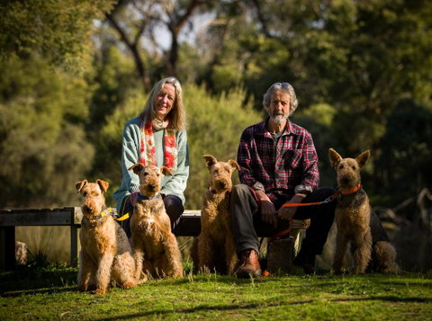 The Burrow At Wombat Bend - Dentist Find 1