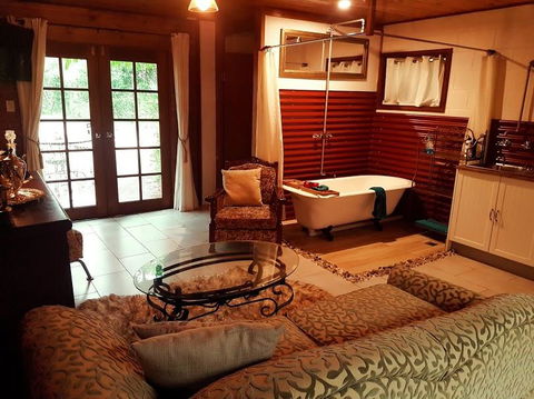 The Cabin - Dentist Find 0