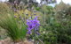 The Chocolate Lily Bed & Breakfast - thumb 3