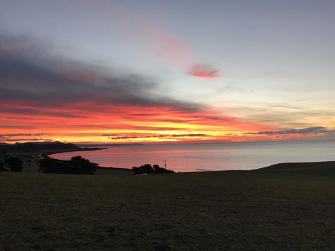 The Cove Tasmania - Dentist Find 1