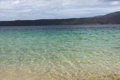 The Cove... On The Rocks At Port Arthur - Dentist Search 1
