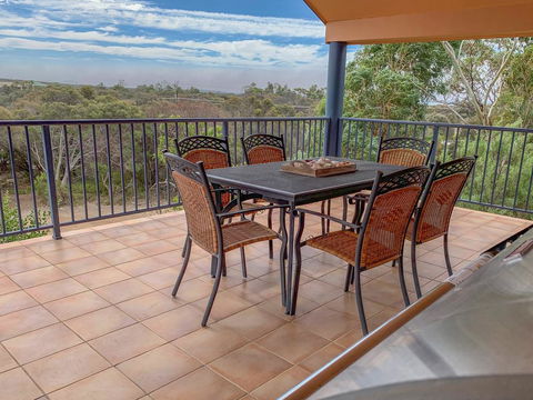 The Curly Seahorse - Dentist Search 2