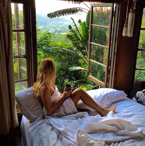 The Den Of The Treehouse, KINABALU Farm - Dentist Find 3