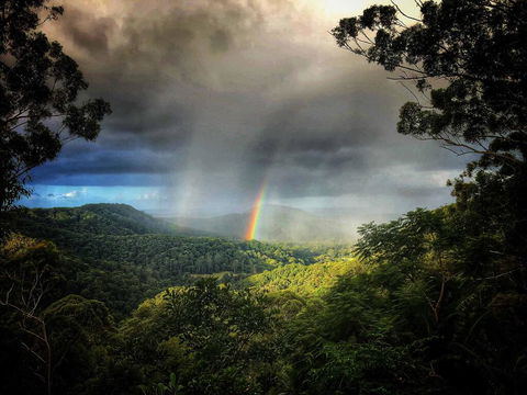 The Den Of The Treehouse, KINABALU Farm - Dentist Find 0