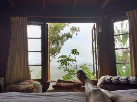 The Den Of The Treehouse, KINABALU Farm - Dentist Find 2
