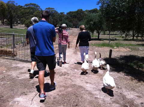The Farm Willunga - Dentist Search 1