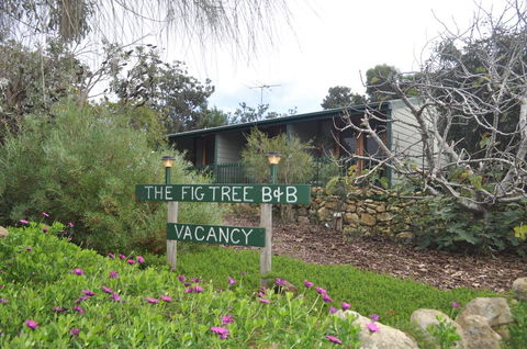 The Fig Tree B&B - Dentist Find 0
