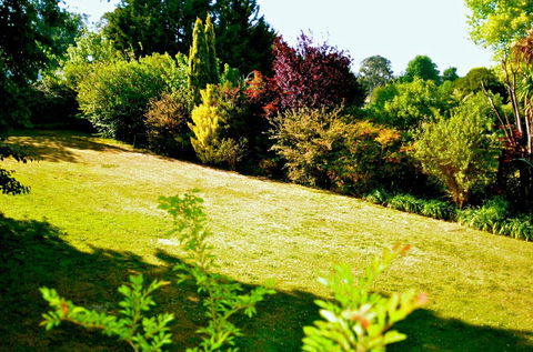 The Glasshouse Boutique Accommodation - Dentist Find 1