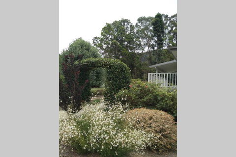 The Greenhouse - Dentist Find 1