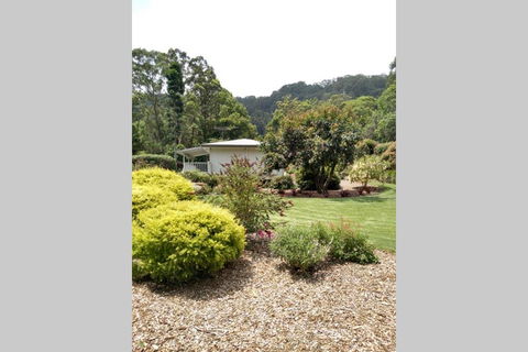 The Greenhouse - Dentist Find 3