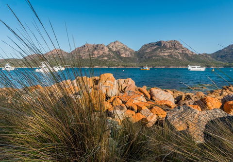 The Hazards Beach Escape - Dentists Australia 3